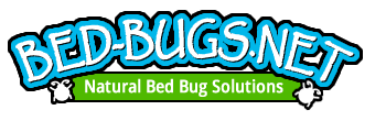 Bed Bugs